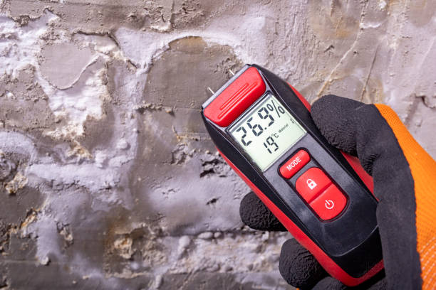 Best Mold Remediation  in Bedford, TX